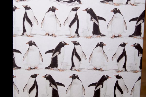 Pinguinpapier von Papeterie Schreibweise